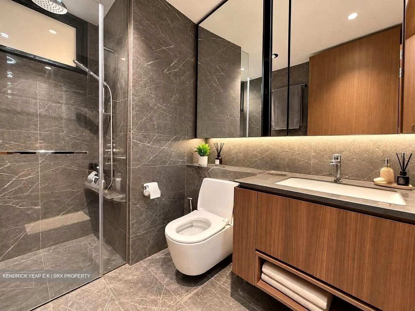 Kopar At Newton (D9), Apartment #624716811